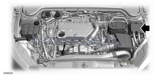 Ford Focus 2022 Engine Fuse Box Diagram
