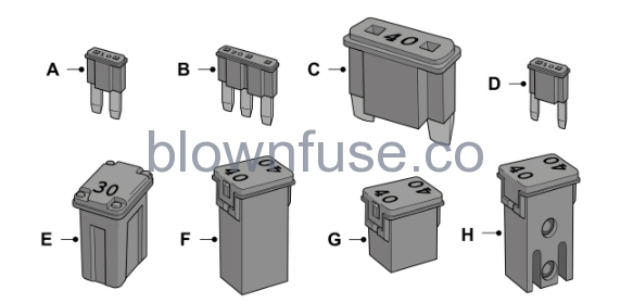 ford fuse types
