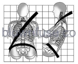 2023-Cadillac-LYRIQ-Seat-Belts-Owners-Manual-FIG2