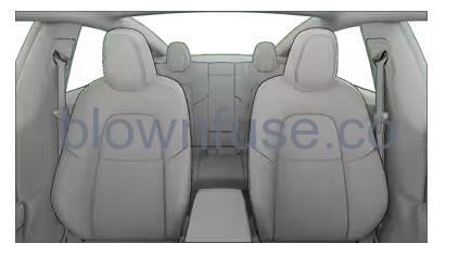 2021 Tesla Model 3 Cabin Camera fig 2