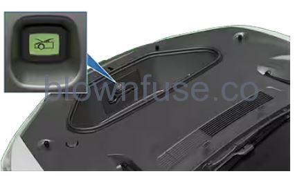 2021 Tesla Model S Front Trunk fig 4