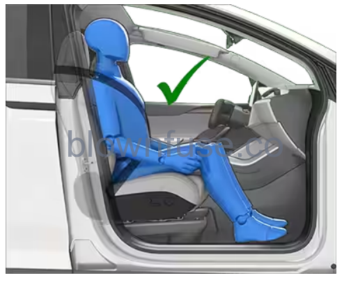 2021 Tesla Model X Airbags-Fig-05