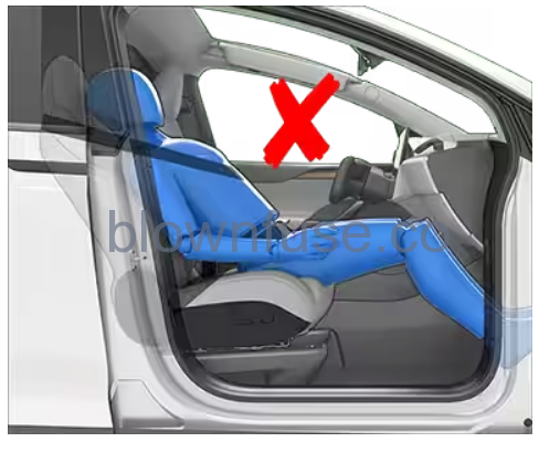 2021 Tesla Model X Airbags-Fig-08