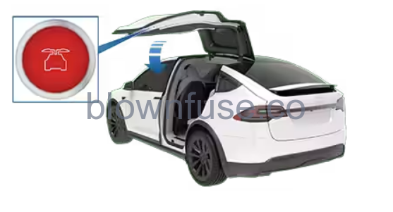 2021 Tesla Model X Doors 3