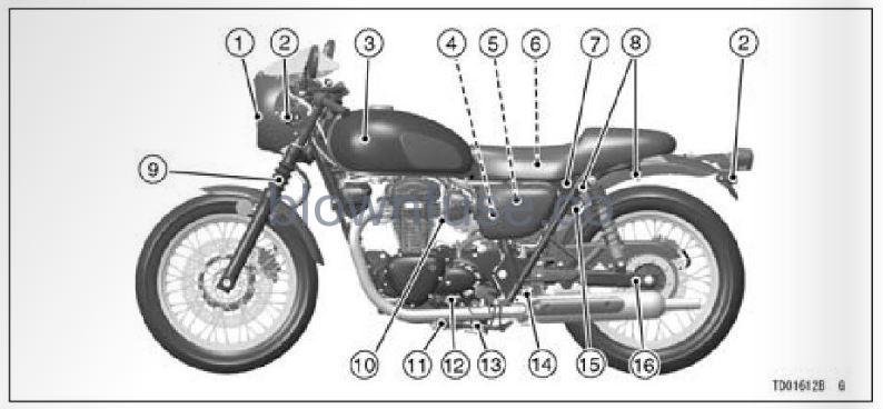 2022-Kawasaki-W800-Location-of-Parts-FIG-2