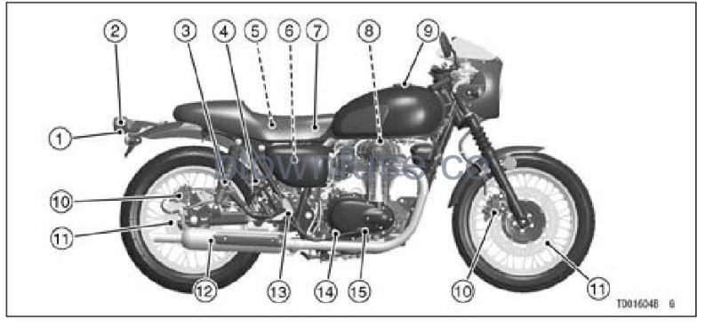 2022-Kawasaki-W800-Location-of-Parts-FIG-3