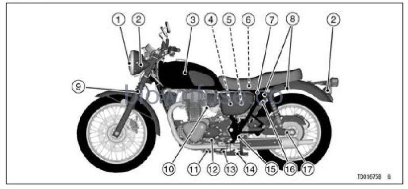 2022-Kawasaki-W800-Location-of-Parts-FIG-5