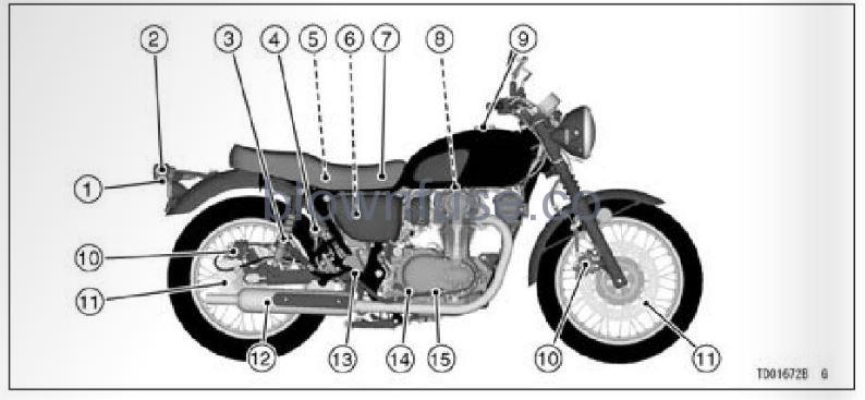 2022-Kawasaki-W800-Location-of-Parts-FIG-6