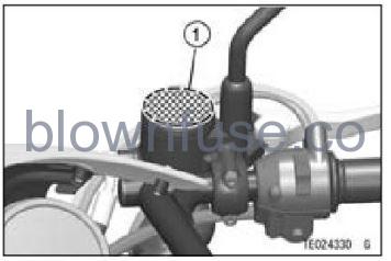 2022-Kawasaki-W800-Location-of-Labels-FIG-1