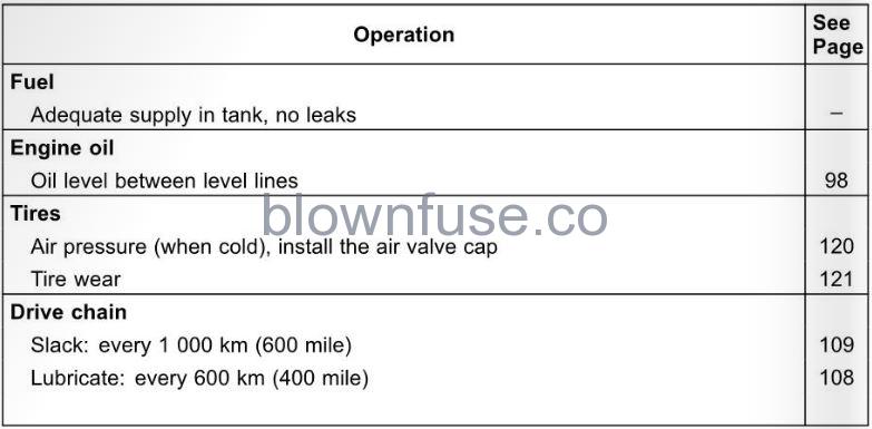 2022-Kawasaki-W800-Daily-Checks-FIG-1