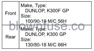 2022-Kawasaki-W800-Wheels-FIG-5