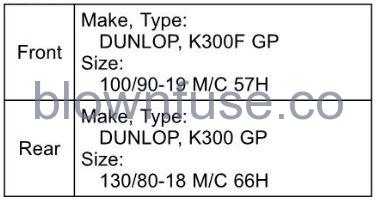 2022-Kawasaki-W800-Wheels-FIG-6