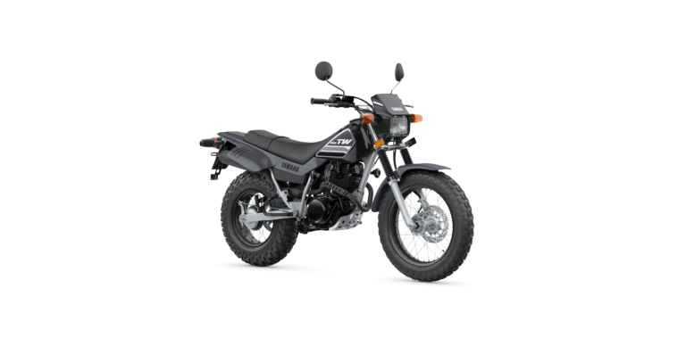 2022 YAMAHA TW200E