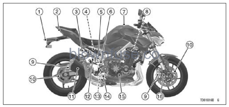 2022-Kawasaki-Z900-SE-general-information-fig- (17)