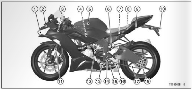 2022-Jaguar-ninja-fig29