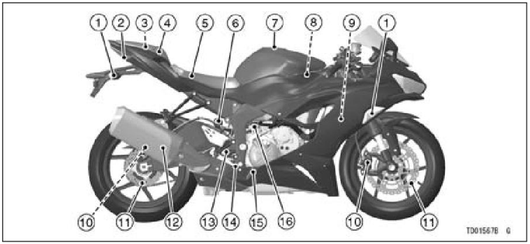 2022-Jaguar-ninja-fig30