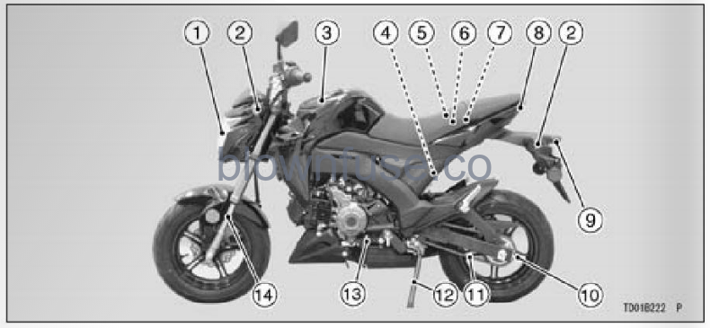 2022-Kawasaki-Z125-PRO-FIG-16