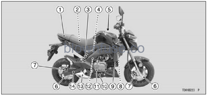 2022-Kawasaki-Z125-PRO-FIG-17