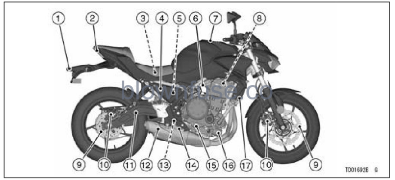 2022-Kawasaki-Z650-fig-20