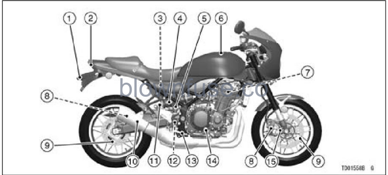 2022-Kawasaki-Z900-RS-fig-24